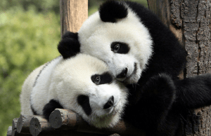 Screen Shot 2014-09-23 at 17.57.40