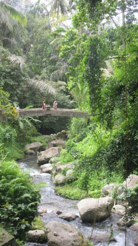 20150109_113228.jpg image