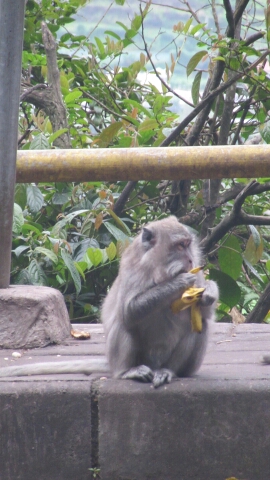 20150109_183635.jpg image