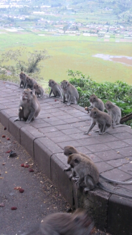 20150109_183703.jpg image