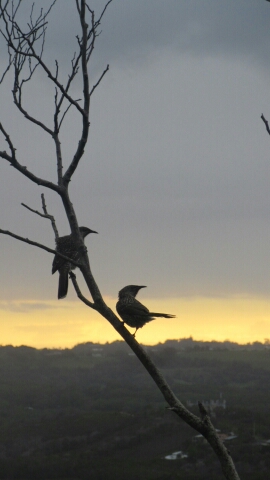 20150207_172102.jpg image