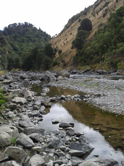 20150301_101935.jpg image