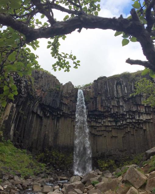 19029503_10158800602600627_3106162178530481620_n