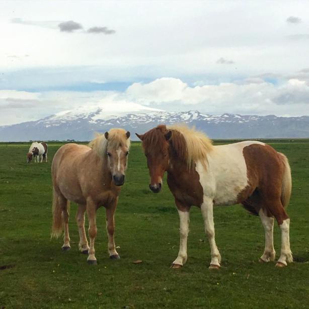 19030339_10158796105210627_6619103000911153759_n