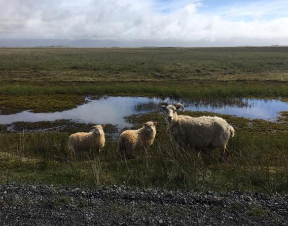 19030704_10158800601215627_3326124042094292057_n