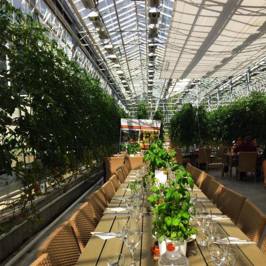 19059274_10158796103550627_5554622750770956431_n