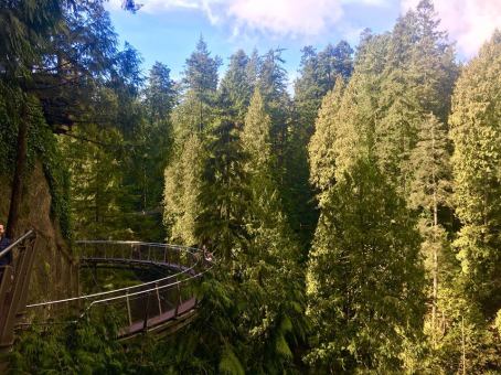 31408343_10160287595305627_8778436587747803136_n