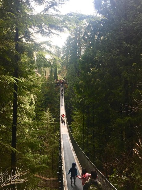 31501483_10160287594285627_9169704479166038016_n