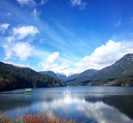 31542864_10160287596620627_6248518649301172224_n