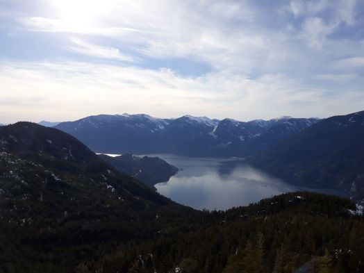 582fd9d2-0205-48bc-bc96-4d47ba4dc93c