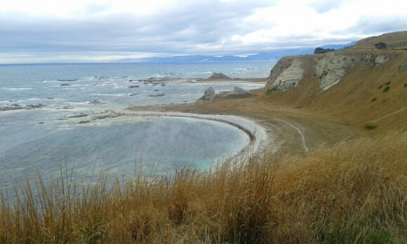 Kaikoura2015